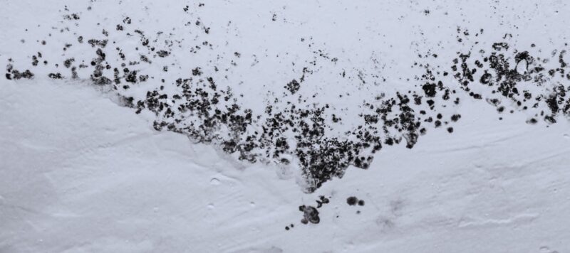 many small spots of black mold on a white wall forming a large v-shaped pattern