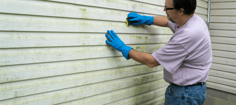 A person wearing blue gloves scrubs mold or dirt off the siding of a house using a sponge